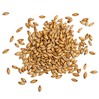https://ban-braeu.de/wp-content/uploads/2017/05/ingredients_transparent_03.png
